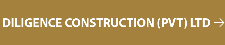 Diligence Construction-1