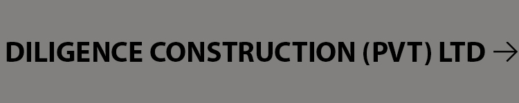 Diligence Construction-2